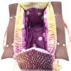 BORSA 2